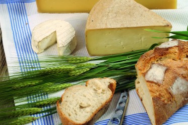 Freiburger Käse-Brot-Soufflé