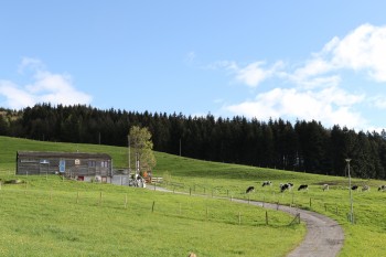 Buvette de Mont Gibloux