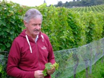 Du cep à la bouteille, itinéraire raisonné du vin