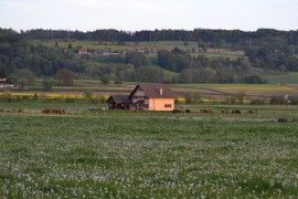 Elevage du Pré d'Eissy