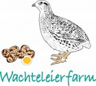 Wachteleierfarm