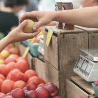 Marchés hebdomadaires 