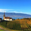 Dégustation au Domaine Morax