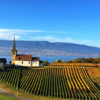 Dégustation au Domaine Morax